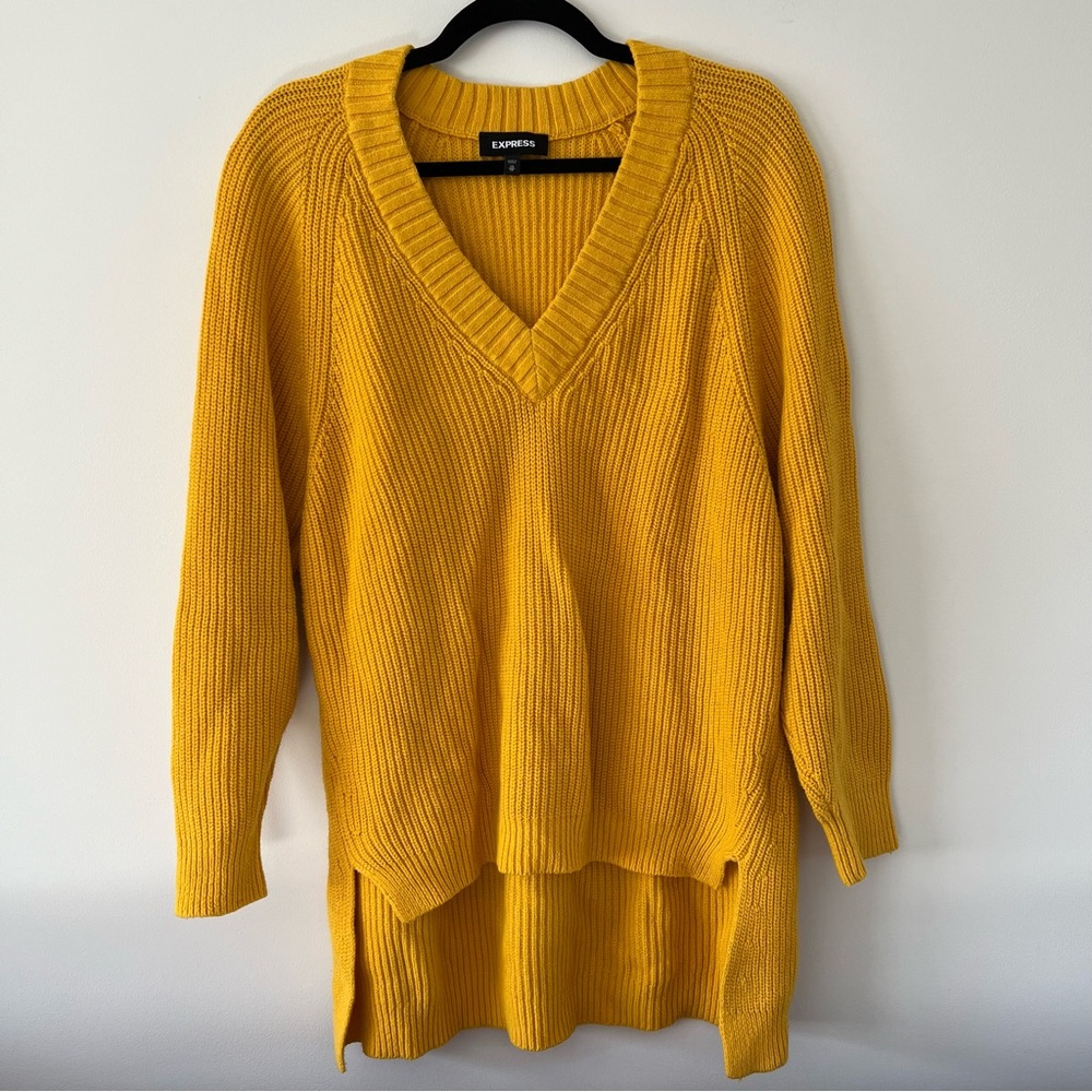 Express Tunic Sweater oversized fit